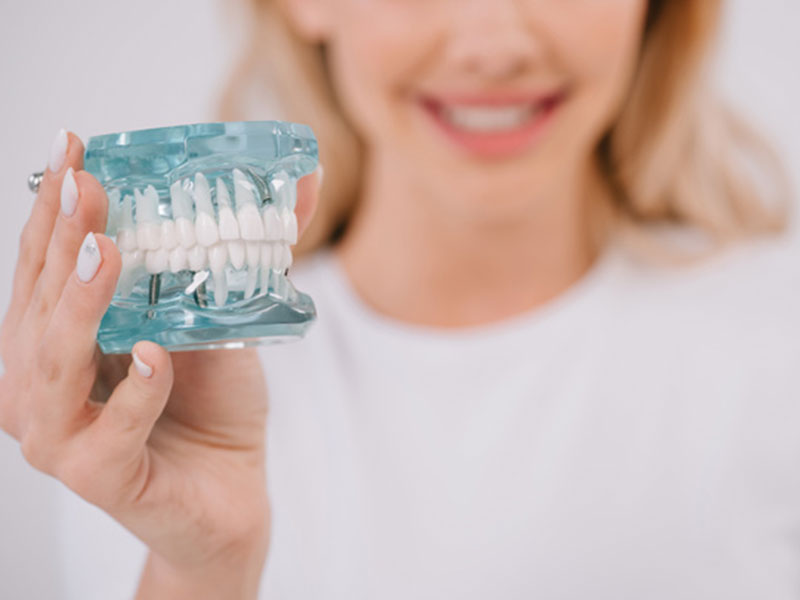 a woman holding a jaw model
